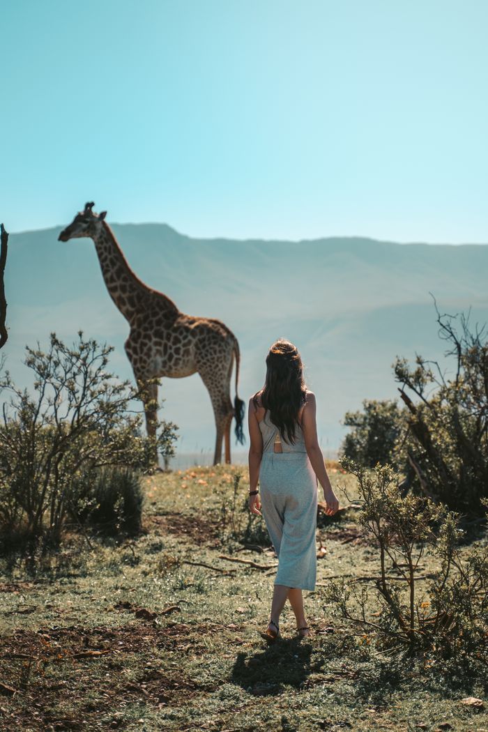 A woman observes a giraffe in the grasslands of South Africa, capturing a serene wildlife moment.